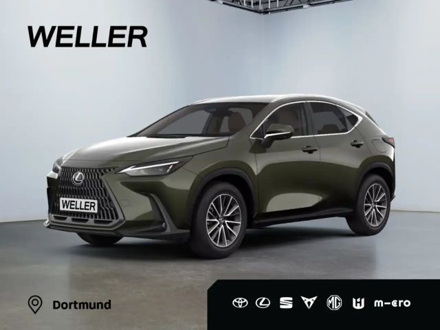 Lexus NX Executive Line