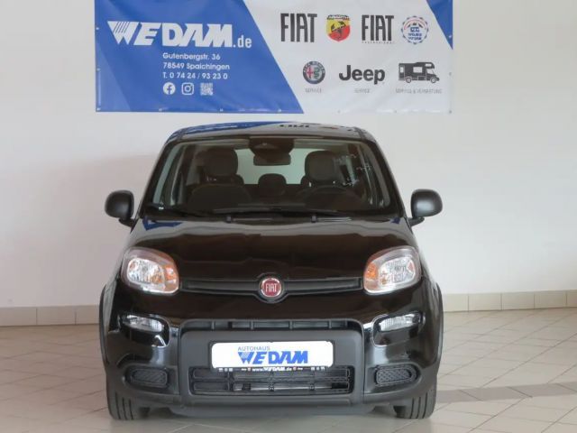 Fiat Panda Urban