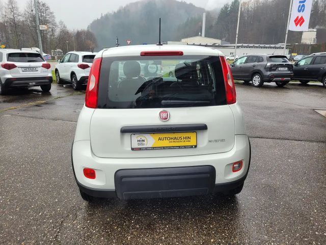 Fiat Panda Base Hybrid 1,0 (sehr gepflegt, 12Monate Garantie)