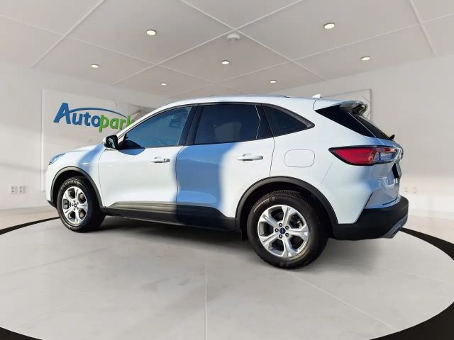 Ford Kuga Cool & Connect