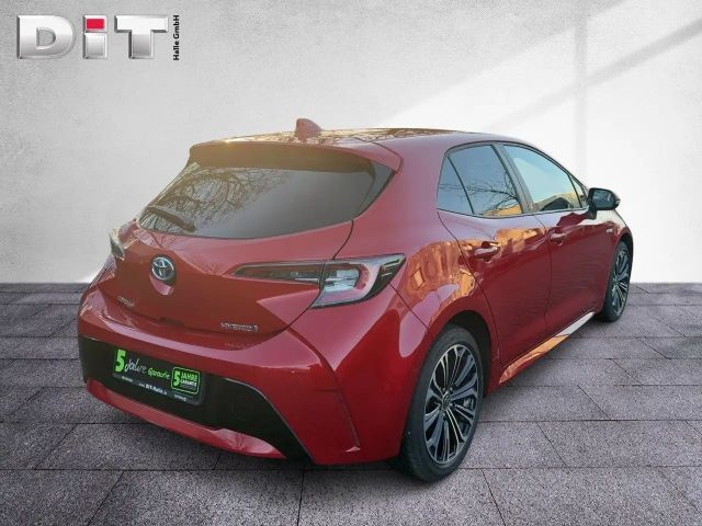 Toyota Corolla Team D