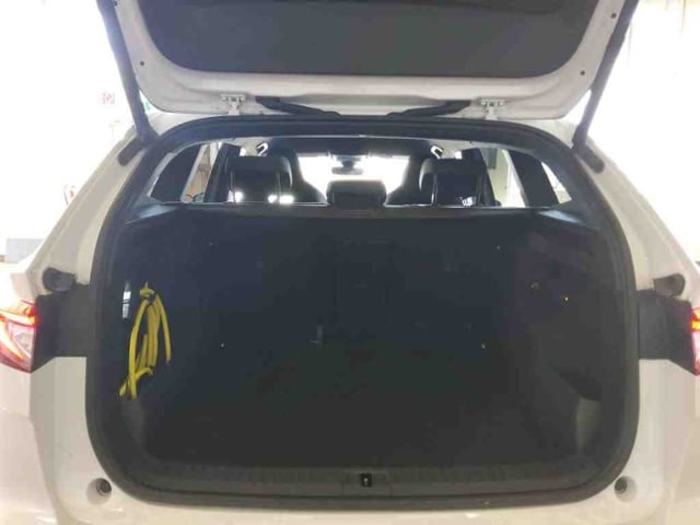 Skoda Enyaq iV 62 kWh +LED +AHK +RKAM +ACC +LM +SHZ +