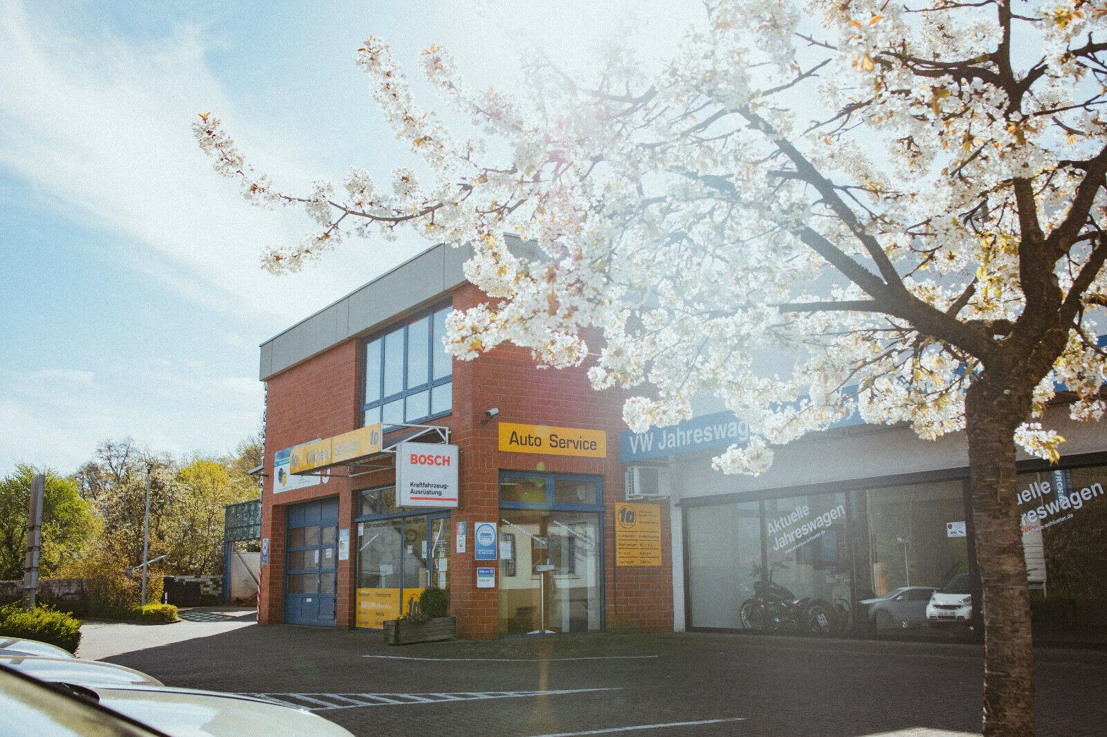 Volkswagen Taigo 1,0 TSI AppC. Sitzh. LED