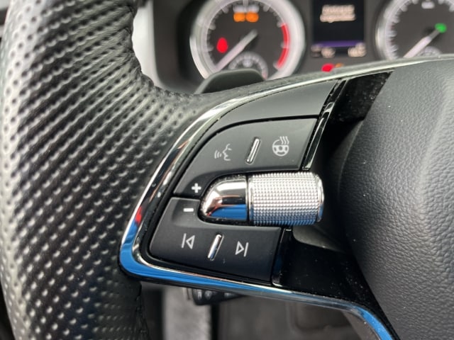 Skoda Kodiaq 2.0 TSI 4x4 Clever