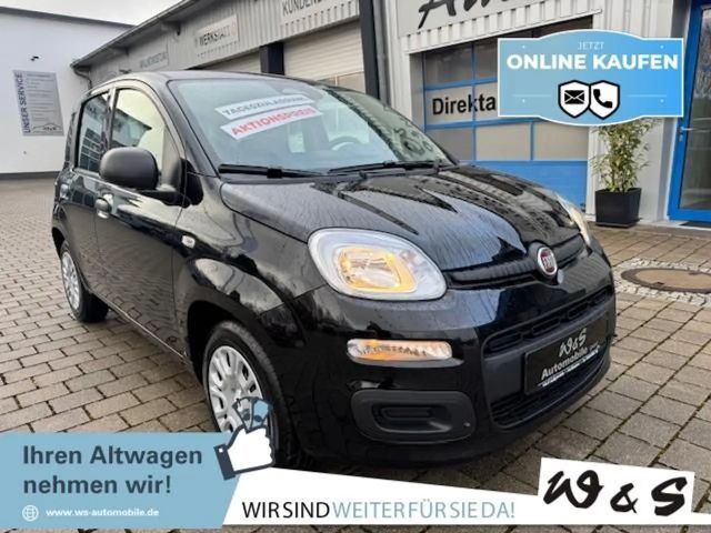 Fiat Panda MY25 1.0 GSE *5-Sitzer*GRA* PDC*Bluet.*