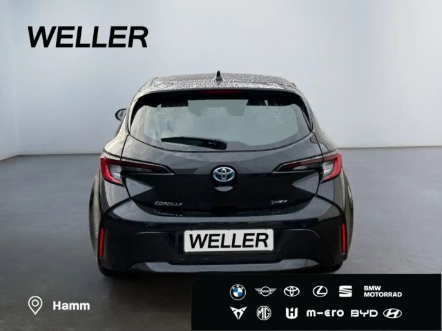 Toyota Corolla Business Hybride