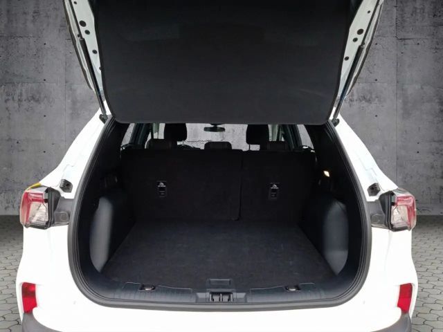 Ford Kuga C&C 2.5 Ltr. 224 PS *CARPLAY*NAVI*