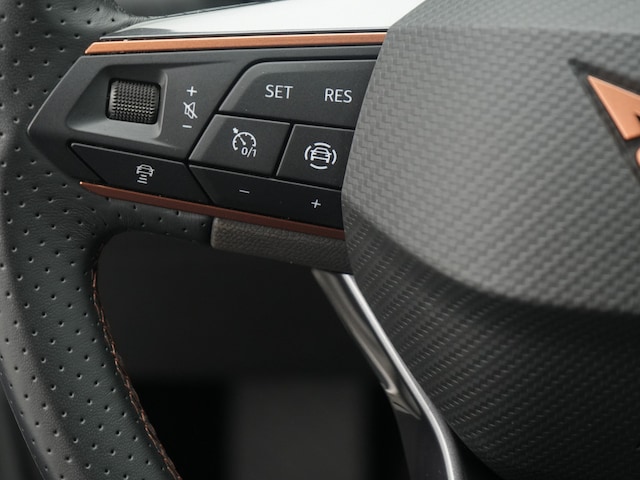 Cupra Formentor Formentor TSI  ACC AHK NAVI SHZ LED