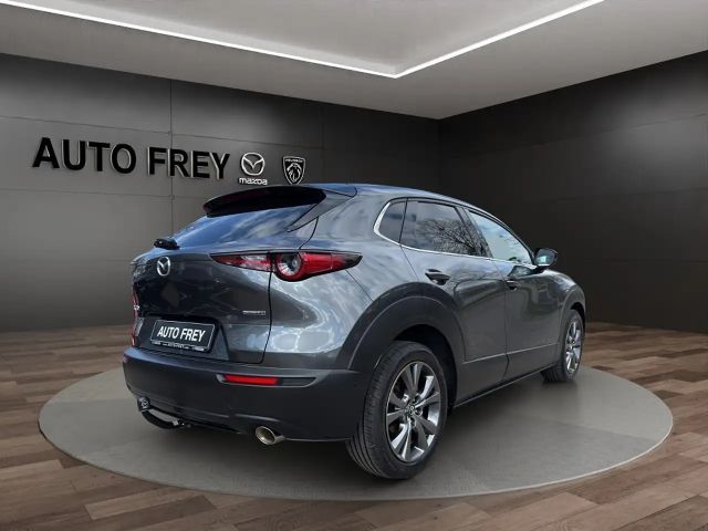 Mazda CX-30 X 186PS AT+ 360°+AHK+BOSE+KLIMA+NAVI+