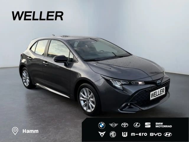 Toyota Corolla Business Hybride