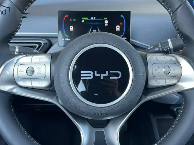 BYD Dolphin Surf Boost