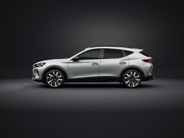 Cupra Formentor 2.0 TSI VZ