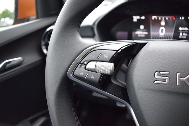 Skoda Fabia 1.0 TSI Selection