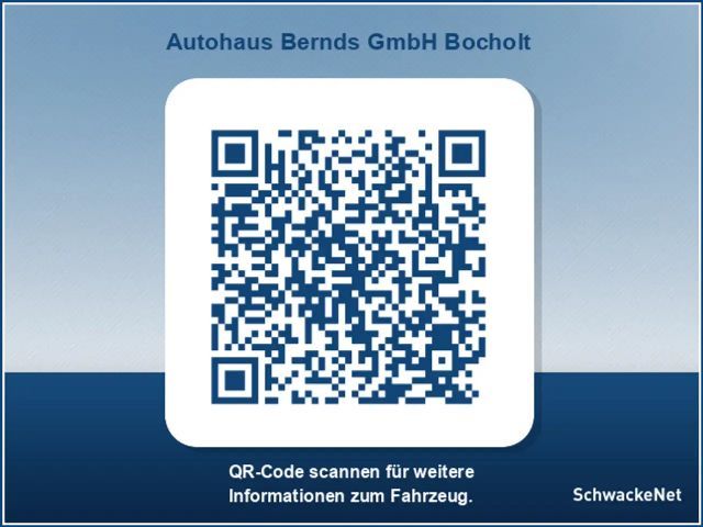 Renault Trafic Blue Evolution dCi 150