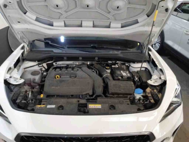 Cupra Formentor Formentor 1,5 TSI NAVI AHK SHZ