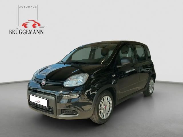 Fiat Panda 1.0 Hybrid