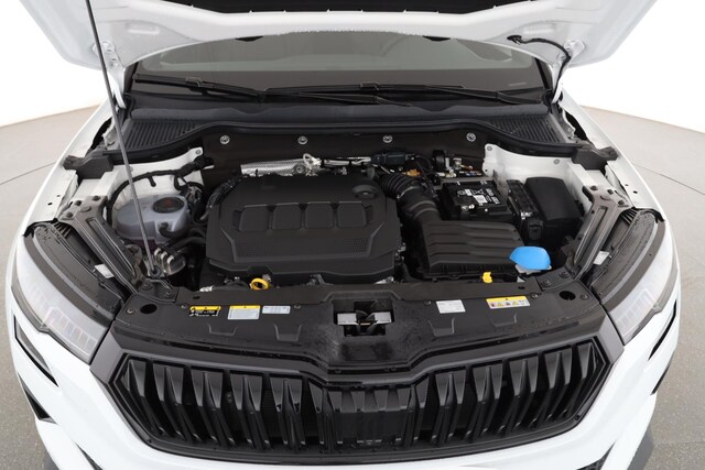 Skoda Karoq 2.0 TDI 4x4