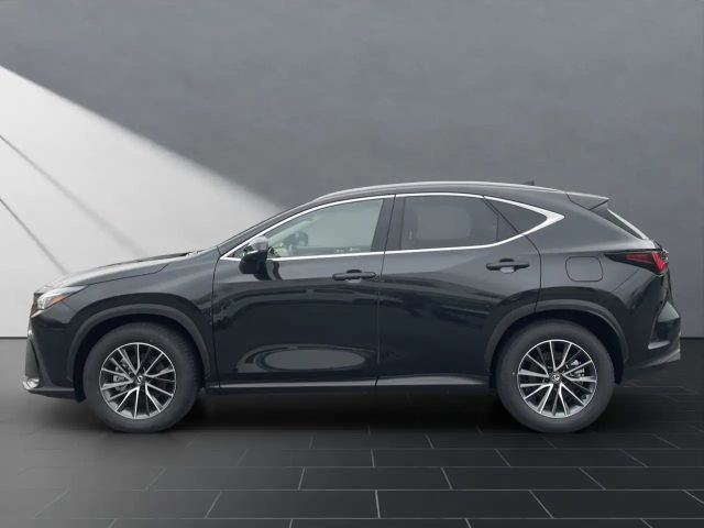 Lexus NX Executive Line
