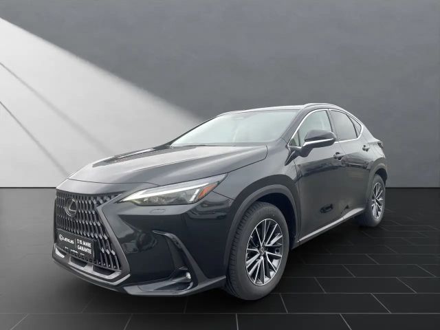 Lexus NX Executive Line