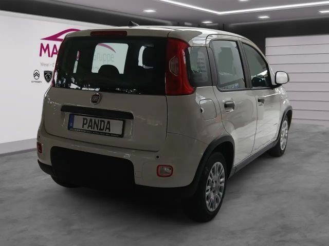 Fiat Panda Pandina 1.0 GSE