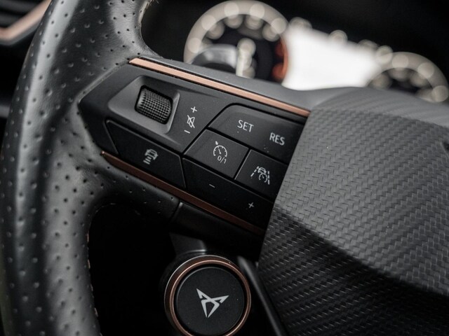 Cupra Formentor 2.0 TSI 4Drive DSG