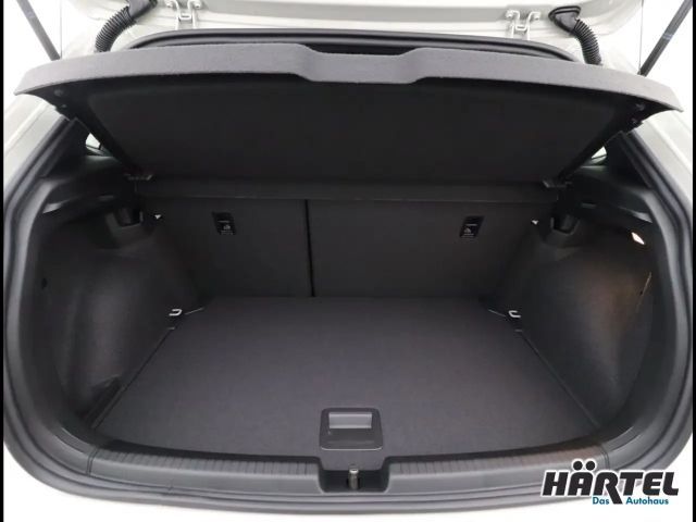 Volkswagen Polo 2.0 TSI DSG GTI