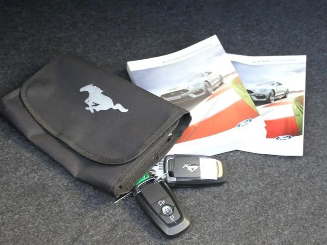 Ford Mustang GT 5.0 V8