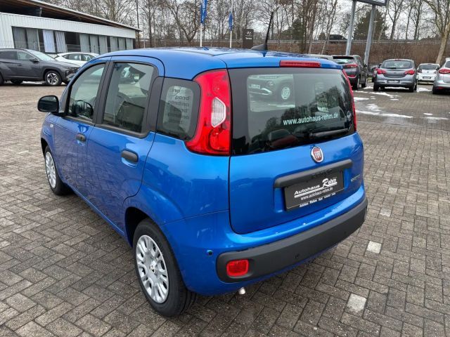 Fiat Panda Icon