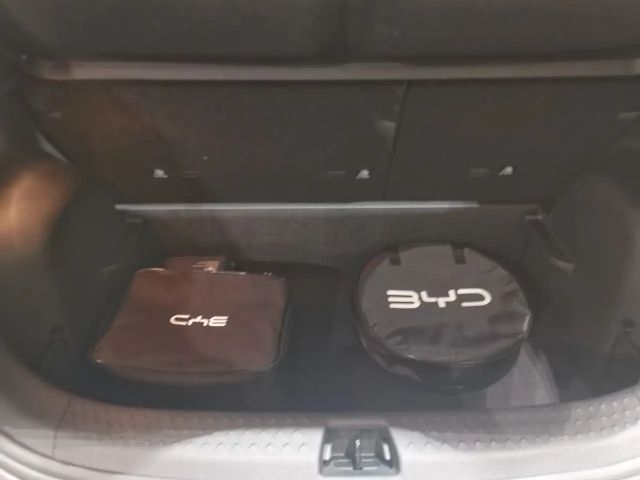 BYD Dolphin Comfort
