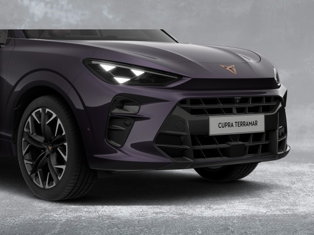 Cupra Terramar e-Hybrid