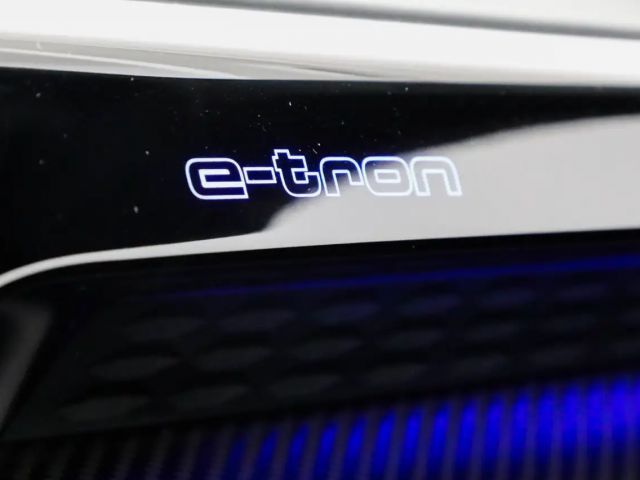 Audi RS e-tron GT B&O WäPu Matrix 360° HUD Massage