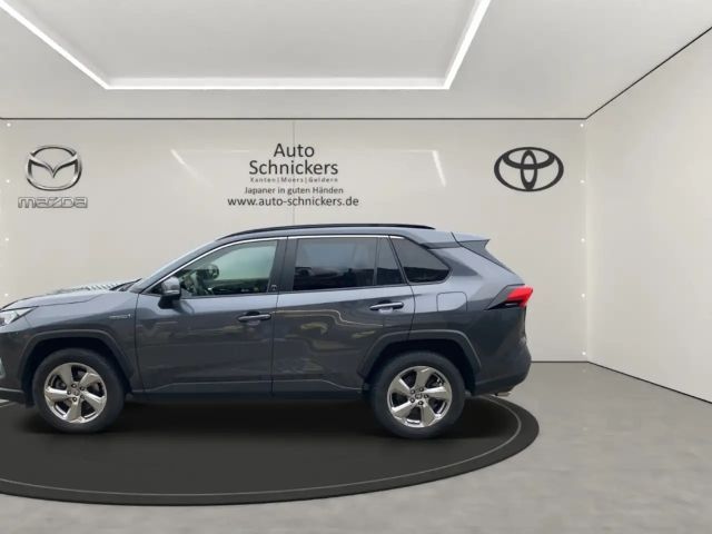 Toyota RAV4 Hybride Team D