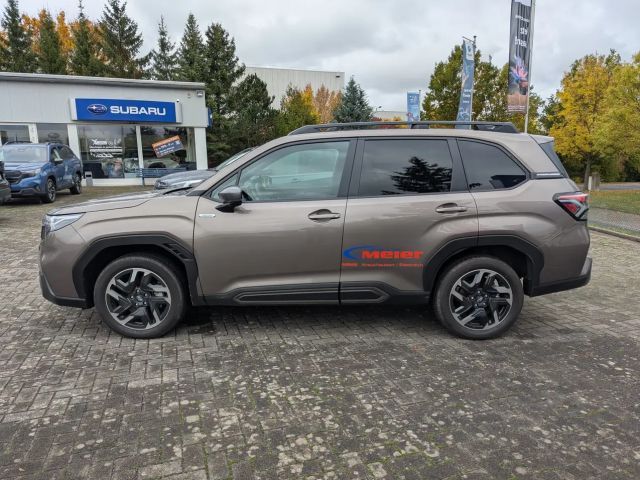 Subaru Forester Exclusive