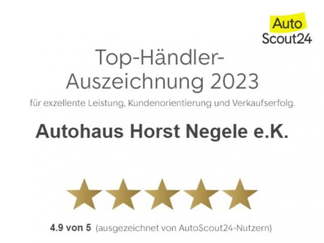 Renault Austral City-,Winter-Paket, Ganzj-Reifen I-Laden Lederlenk