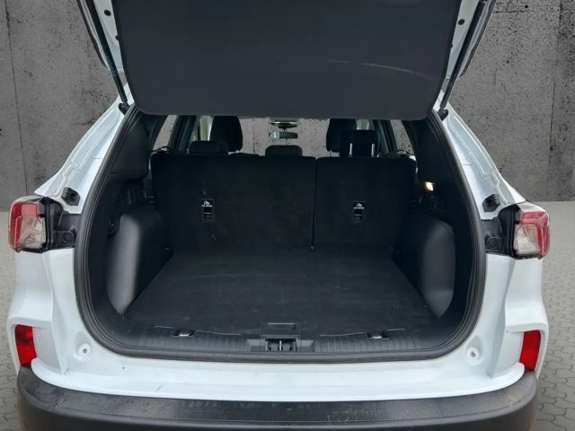 Ford Kuga C&C 2.5 Ltr. 224 PS *CARPLAY*NAVI*