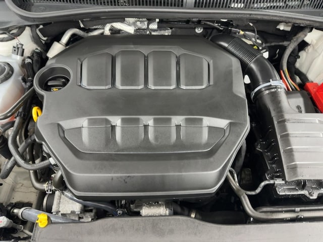 Volkswagen Polo 2.0 TSI DSG GTI