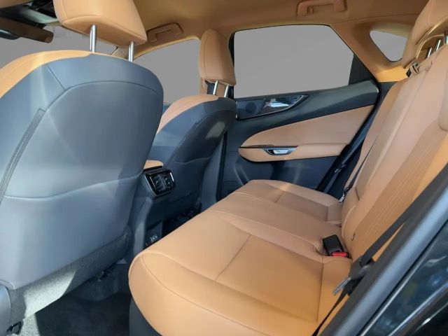 Lexus NX Executive Line