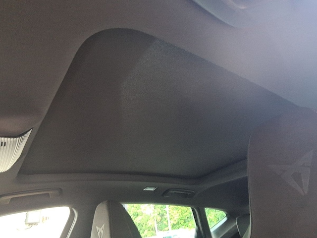 Cupra Formentor 2.0 TSI DSG VZ