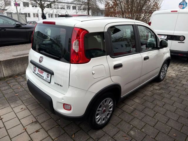 Fiat Panda MY24 Panda Hybrid 1.0 GSE 51kw (70PS)