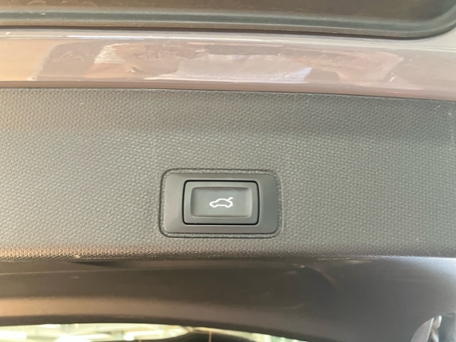 Cupra Terramar 2.0 TSI