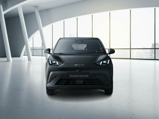 BYD Dolphin Comfort