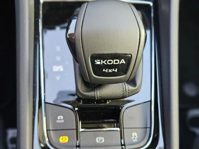 Skoda Karoq 4x4 Selection