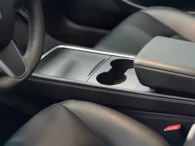 Tesla Model 3 Performance