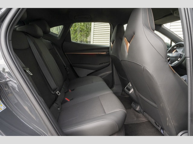 Cupra Tavascan Endurance