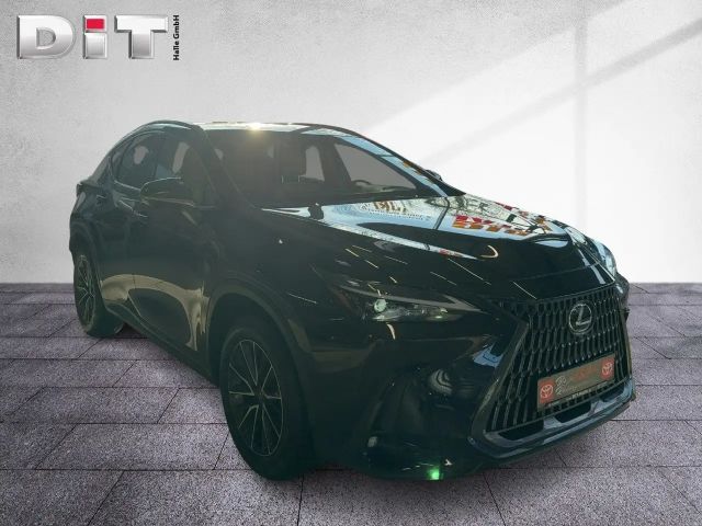 Lexus NX Executive Line
