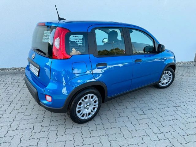 Fiat Panda 1.0 Hybrid+Komfortpaket+5Sitz+LED