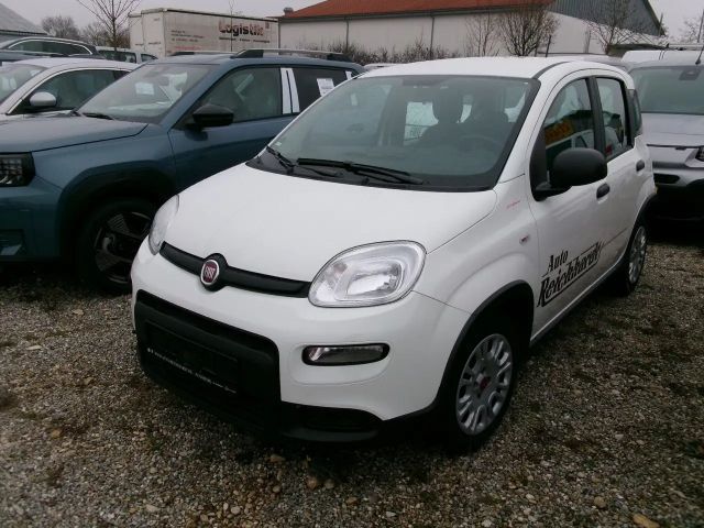 Fiat Panda Hybrid