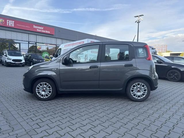 Fiat Panda Hybrid**Tech Paket**