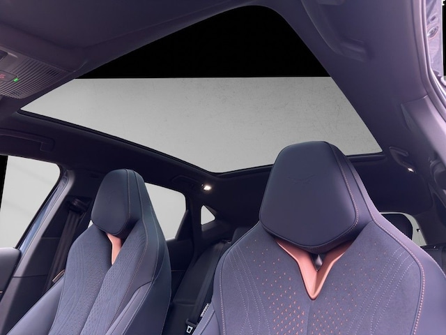 Cupra Tavascan Adrenaline Endurance