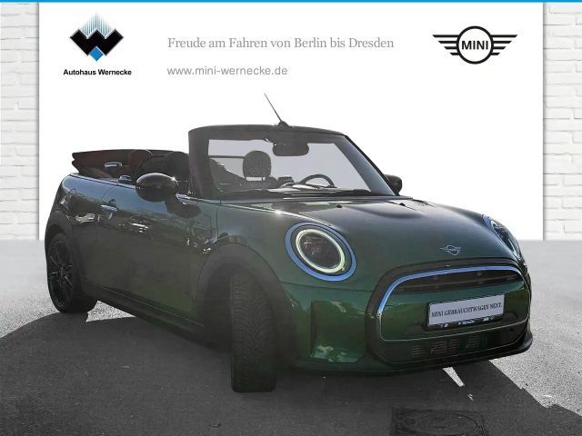 MINI Cooper Cabrio Cooper Cabrio DAB LED Komfortzg. Tempomat Shz